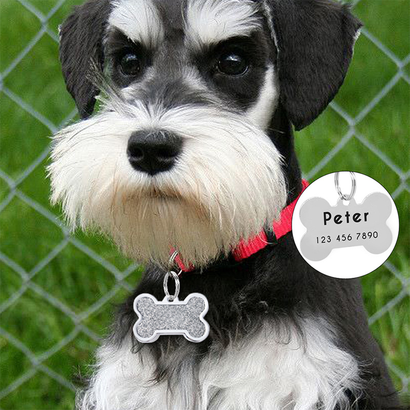 Pet Supplies Wholesale - Nieuwe Bone Dog Tags Kan Laser