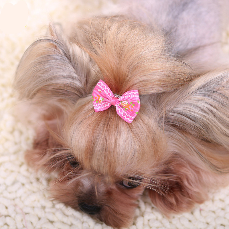 Pet Supplies York - Nieuwe Haarspeld Voor Honden Kitten Puppy