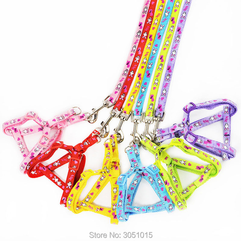 Pet Supplies Wholesale - Groothandel 20 stuks Kitten Puppy Veilige