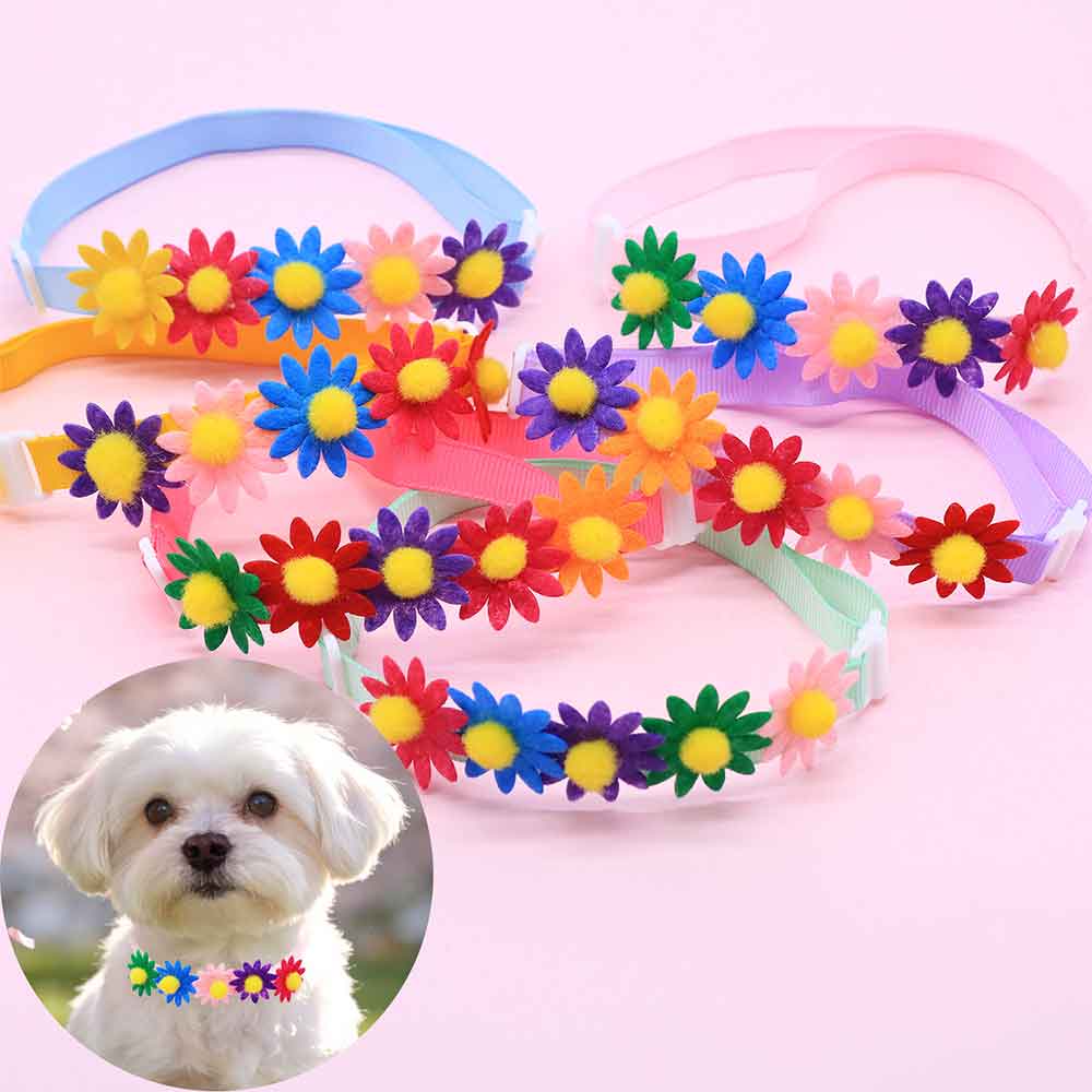 50 STKS Kleurrijke Hond Strikj - Pet Supplies Wholesale recensie en prijs