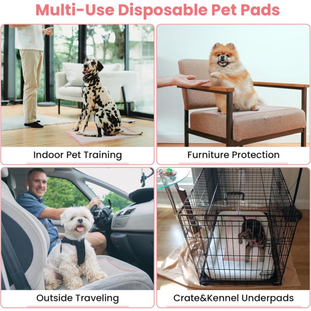 100/50/30/20/10 stuks Huisdier - Pet Supplies Wholesale recensie en prijs