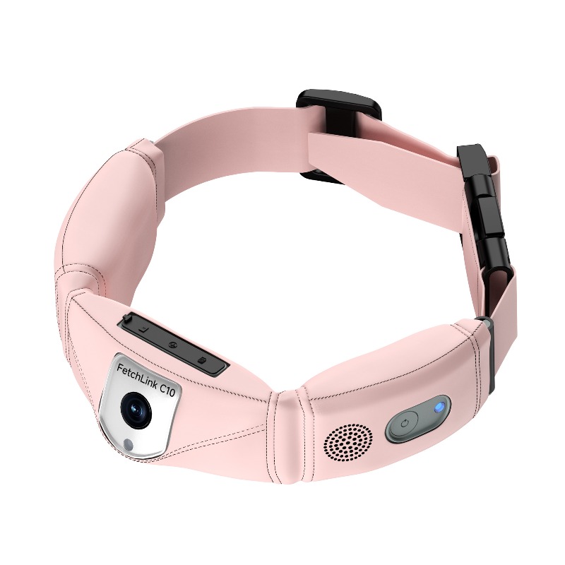 All-in-one slimme halsband met - Pet Gps Tracker Collar recensie en prijs