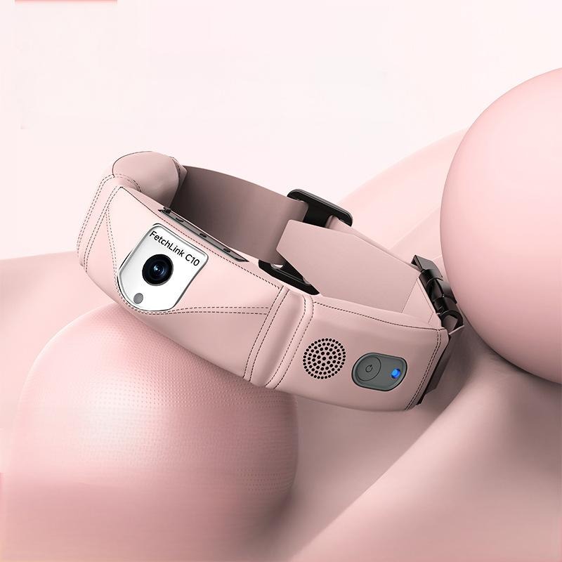 All-in-one slimme halsband met - Pet Gps Tracker Collar recensie en prijs