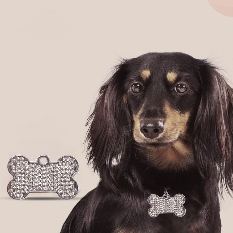 Nieuwe Bone Dog Tags Kan Laser - Pet Supplies Wholesale recensie en prijs