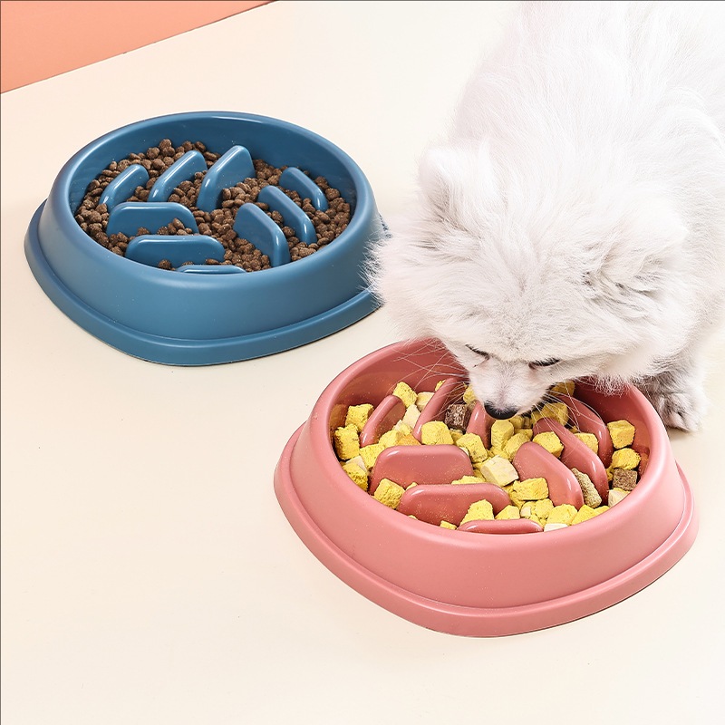 Dierbenodigdheden Honden en ka - Slow Feeder Dog Bowl recensie en prijs