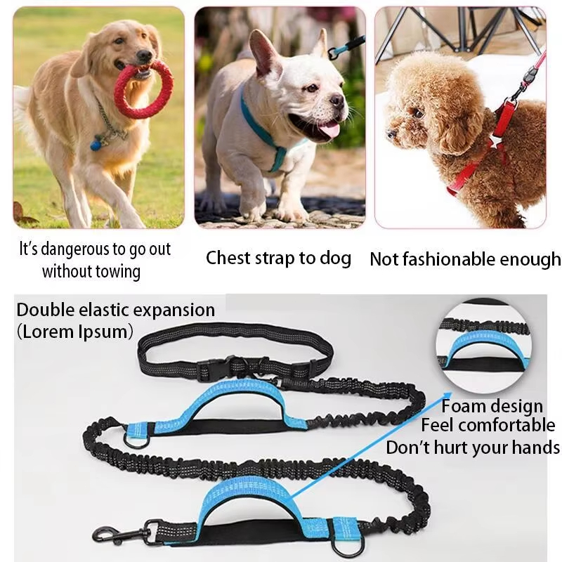 Dubbele elastische reflecteren - Pet Supplies Wholesale recensie en prijs