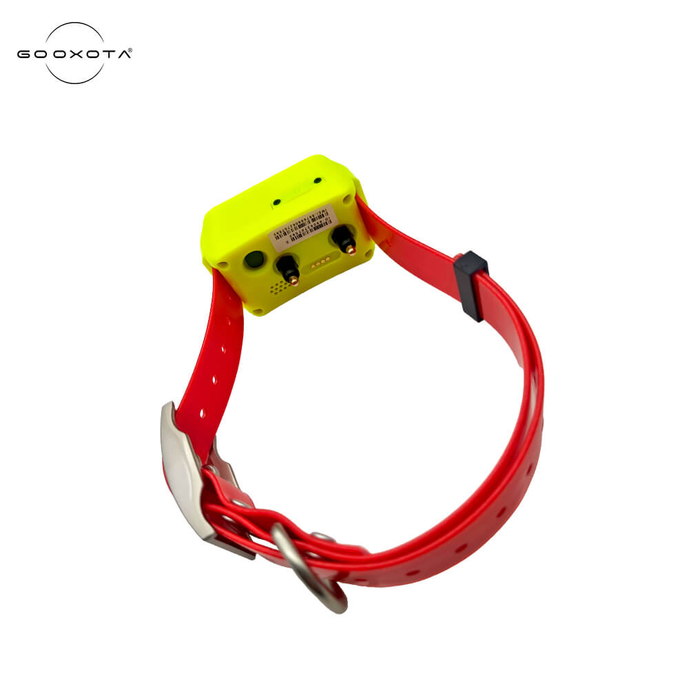 4G GPS-tracker hondenhalsband, - Pet Gps Tracker Collar recensie en prijs