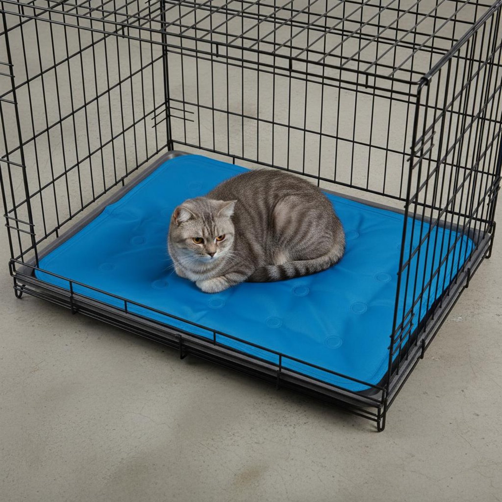 Koelmat voor huisdieren Gel-ko - Dog Cooling Mat recensie en prijs