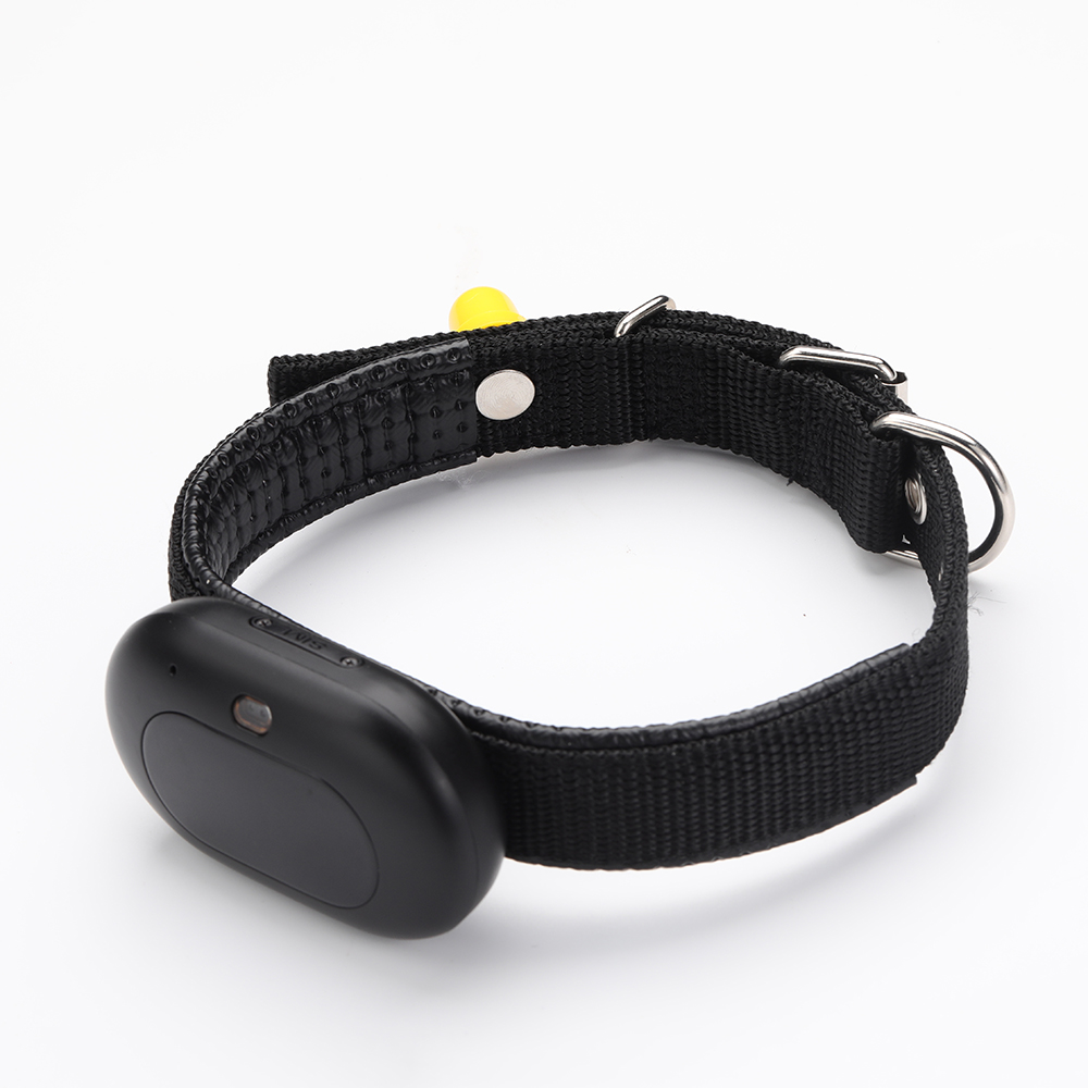 V41 4G LTE GPS-tracker voor hu - Pet Gps Tracker Collar recensie en prijs