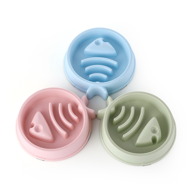 Huisdier Kat Hond Slow Food Bo - Slow Feeder Dog Bowl recensie en prijs