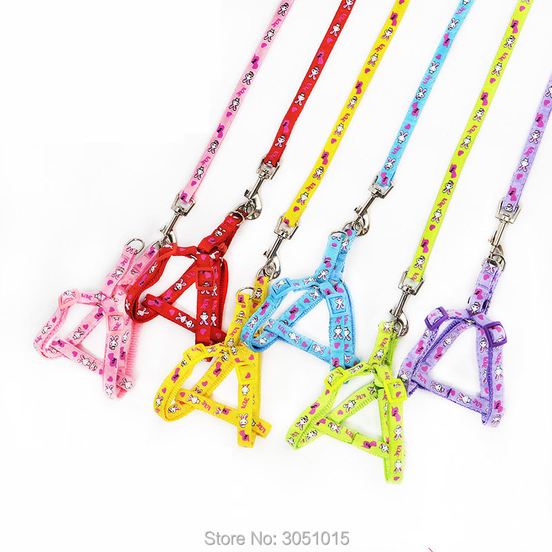 Groothandel 20 stuks Kitten Pu - Pet Supplies Wholesale recensie en prijs