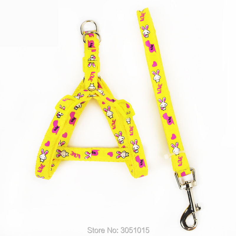 Groothandel 20 stuks Kitten Pu - Pet Supplies Wholesale recensie en prijs