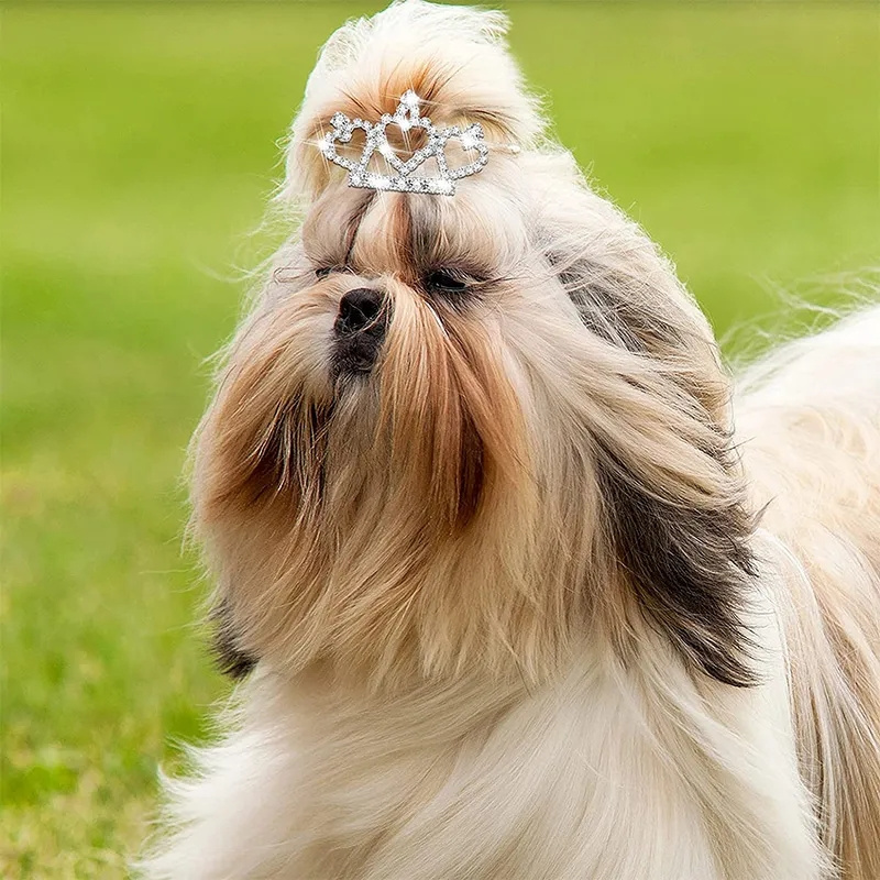 Bling Delicate Kristal Hond Ha - Pet Supplies York recensie en prijs