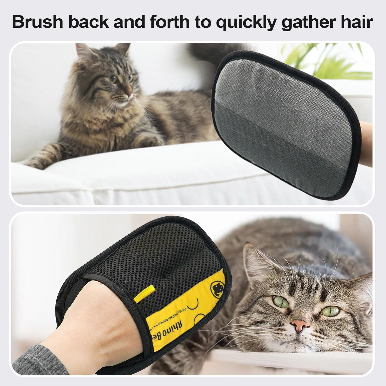 1 paar Statische Verwijderings - Pet Hair Remover Brush recensie en prijs