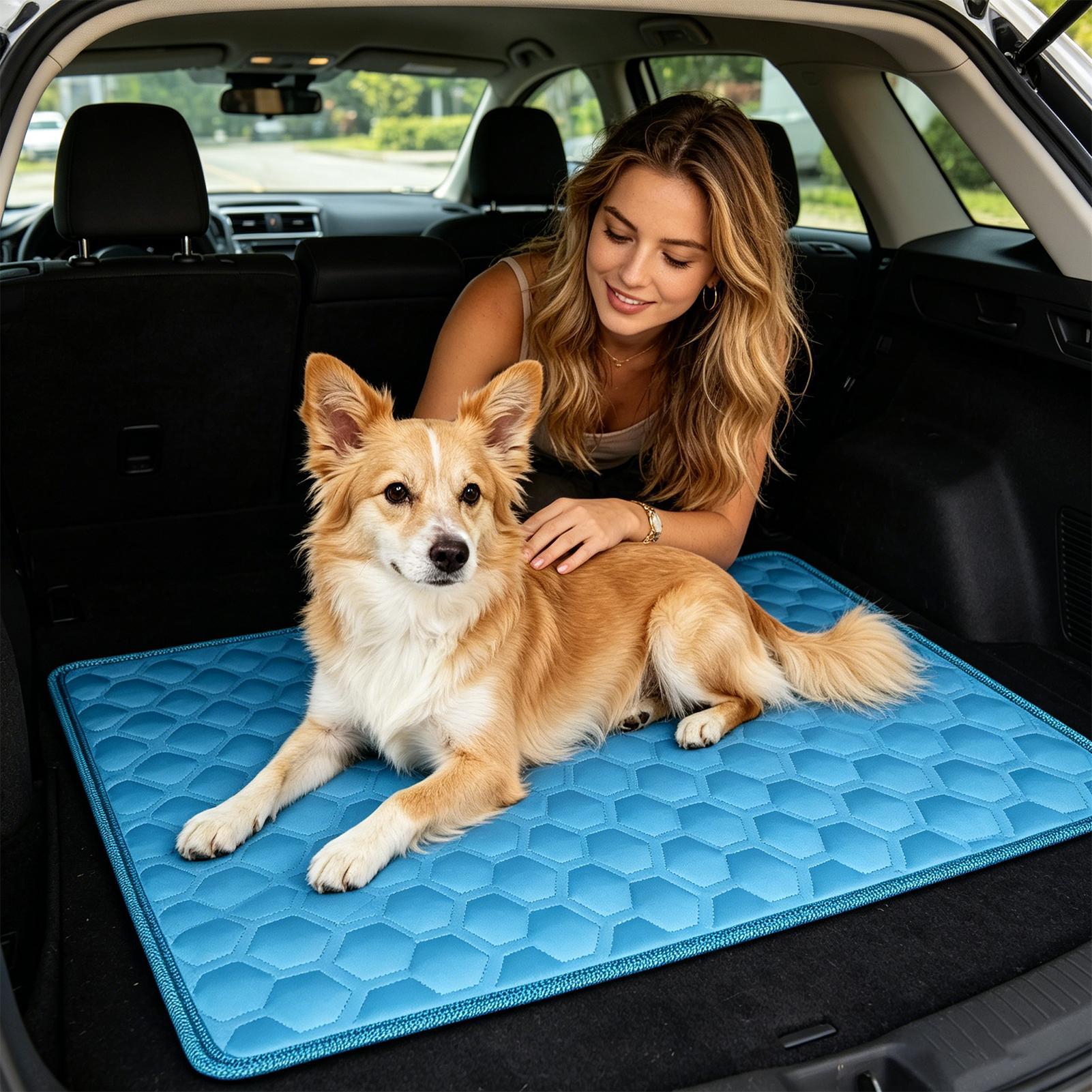 koelmat voor huisdieren Antisl - Dog Cooling Mat recensie en prijs