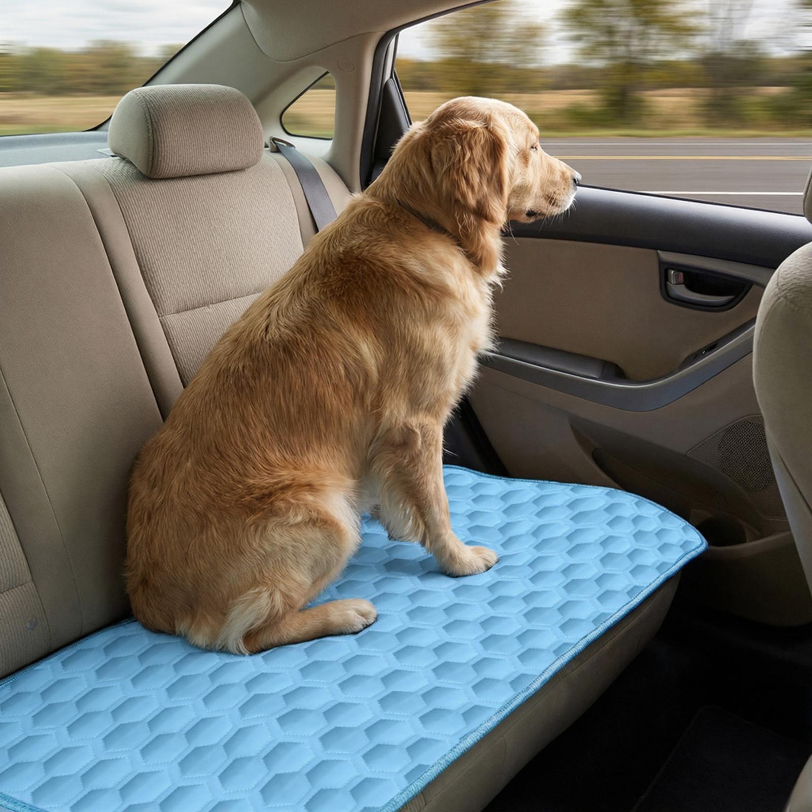 Koelmat voor honden Kauwbesten - Dog Cooling Mat recensie en prijs