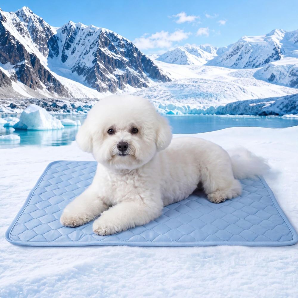 Koelmat voor kleine honden, pu - Dog Cooling Mat recensie en prijs