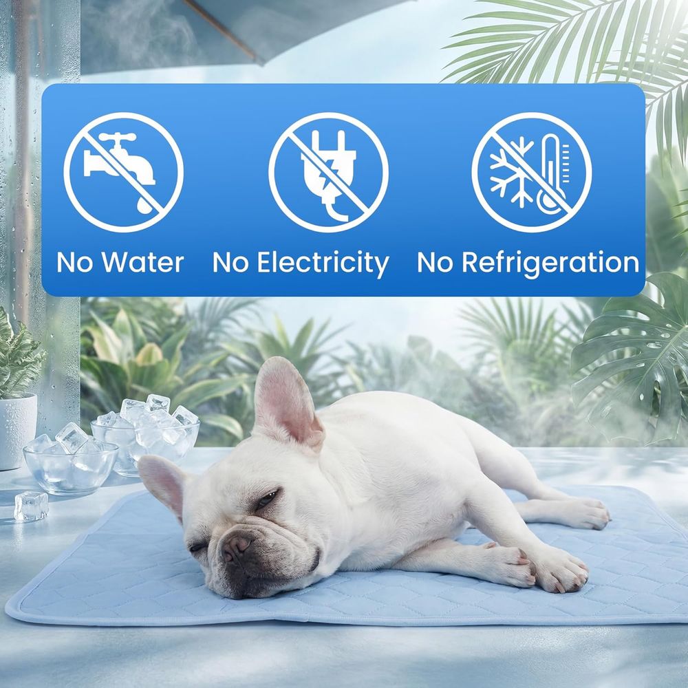 Koelmat voor kleine honden, pu - Dog Cooling Mat recensie en prijs