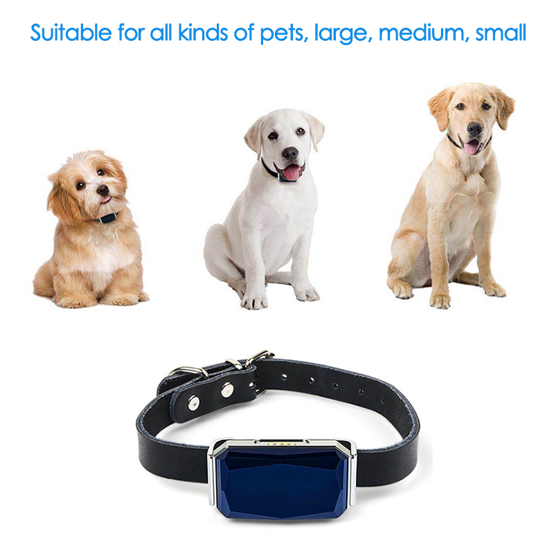 GPS-tracker voor huisdieren, v - Pet Gps Tracker Collar recensie en prijs