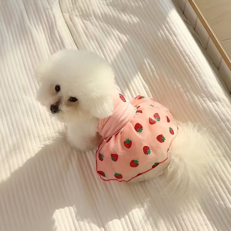 Zomer Dunne Puppy Prinses Rok  - Pet Supplies York recensie en prijs