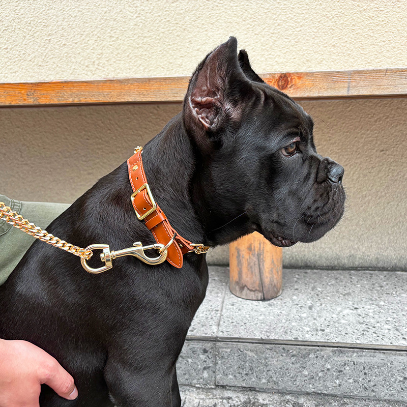 Loudik Groothandel Huisdier Kr - Pet Supplies Wholesale recensie en prijs