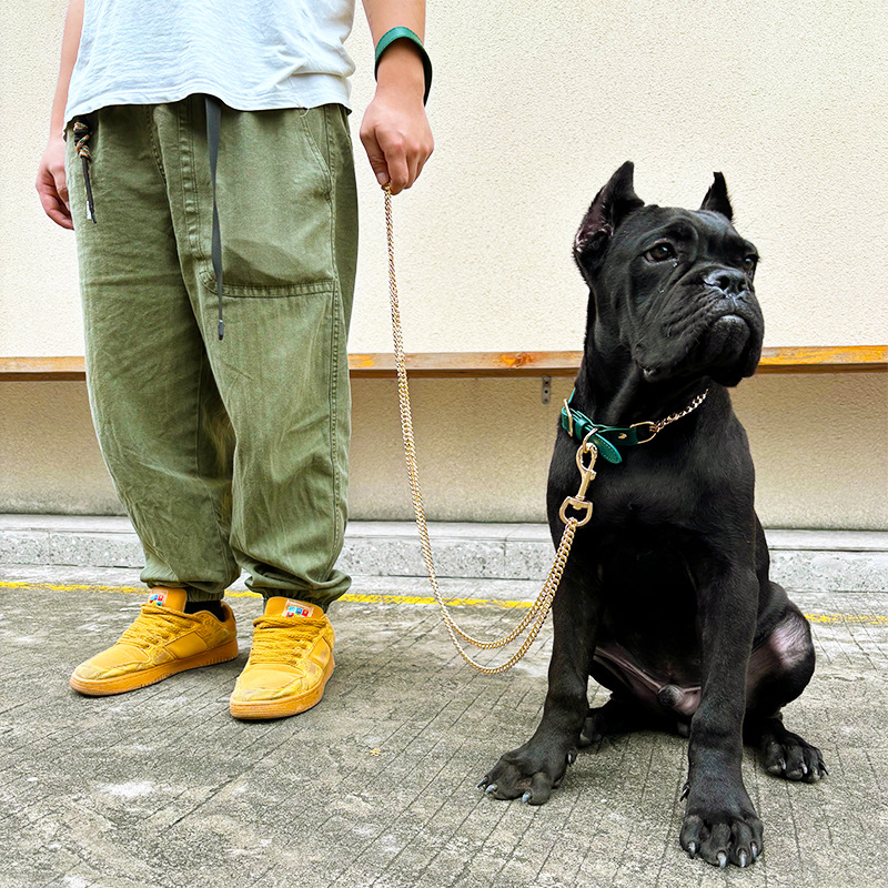 Loudik Groothandel Huisdier Kr - Pet Supplies Wholesale recensie en prijs
