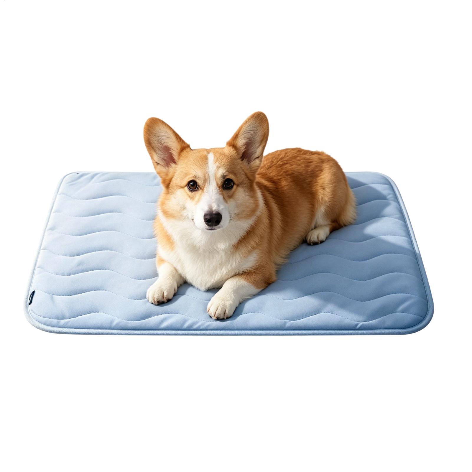 Koelmat voor honden, zomerse k - Dog Cooling Mat recensie en prijs