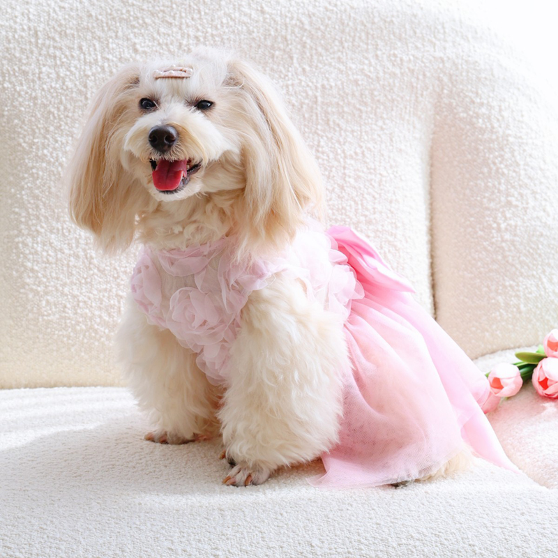 Lente Zomer Dunne Puppy Prinse - Pet Supplies York recensie en prijs