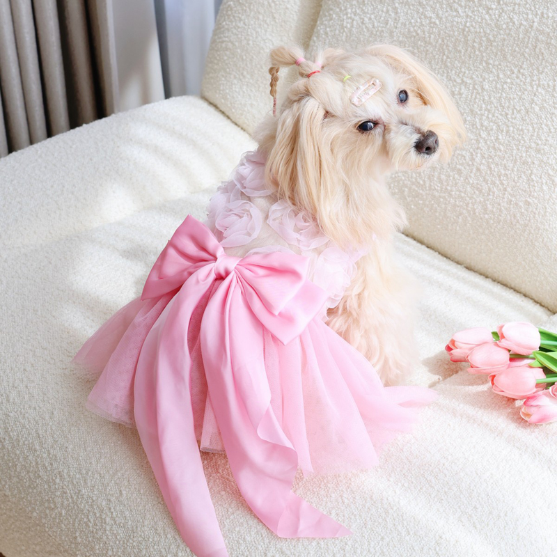 Lente Zomer Dunne Puppy Prinse - Pet Supplies York recensie en prijs