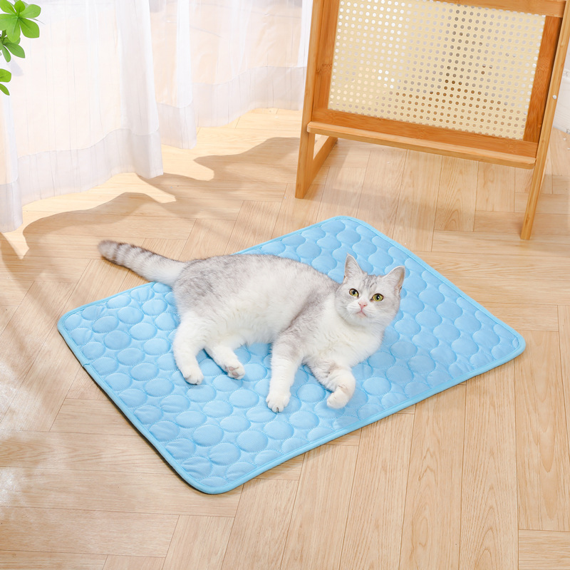 Zomer IJs Zijde Koelmat voor H - Dog Cooling Mat recensie en prijs
