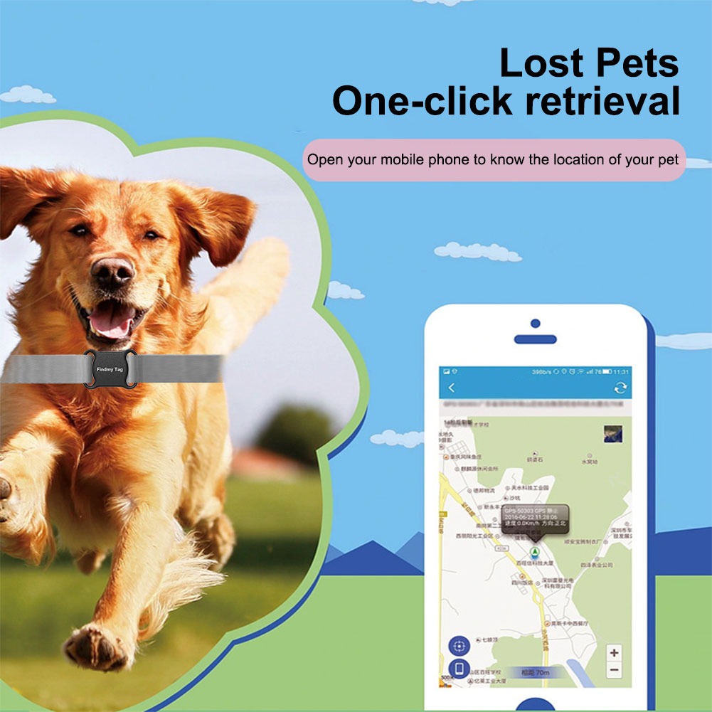 Anti-verlies GPS-tracker, loca - Pet Gps Tracker Collar recensie en prijs