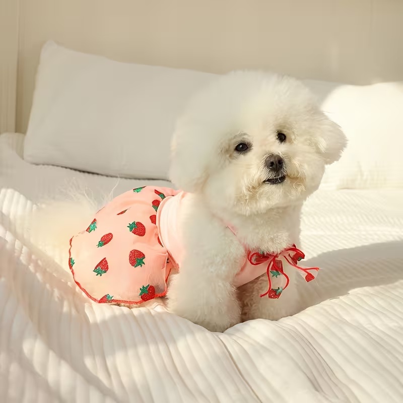 Zomer Dunne Puppy Prinses Rok  - Pet Supplies York recensie en prijs